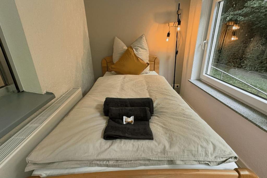 Geraeumiges Mit Xxl Leinwand I Parkplatz I Wifi * Bochum